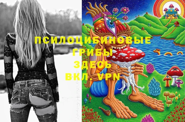 стафф Алзамай