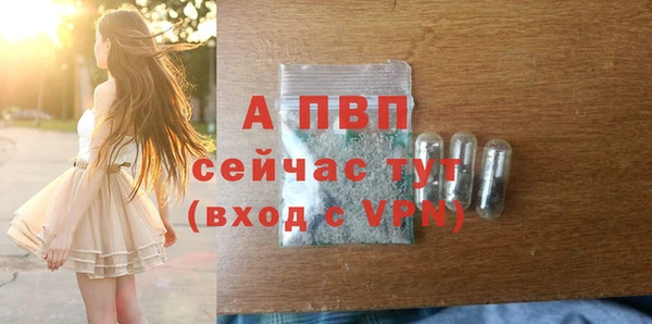 стафф Алексин