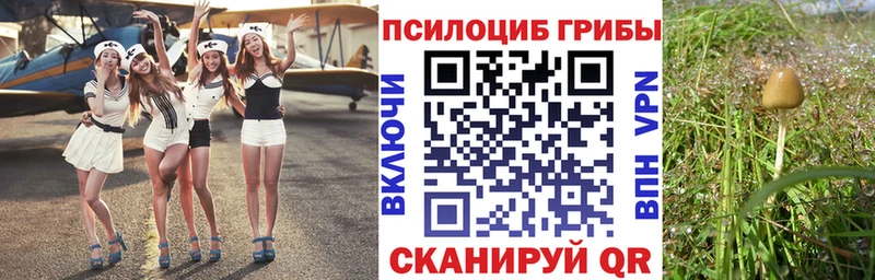 закладки  Малаховка  Галлюциногенные грибы мицелий 